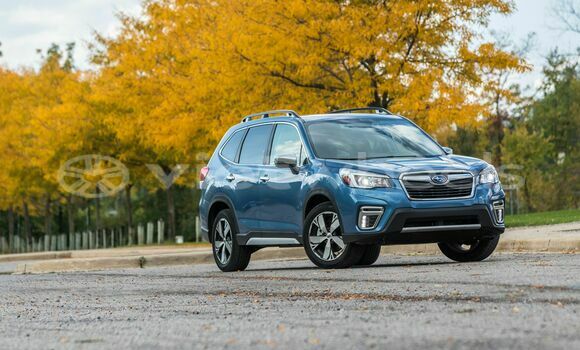 Buy Đã sử dụng Subaru Subaru Forester Xe ô tô