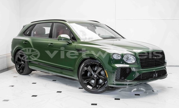 Buy Mới Bentley Bentayga Xe ô tô