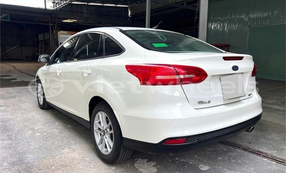 Buy Used Ford Focus Car Buy Used Ford Focus Car