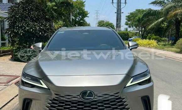 Buy Used Lexus RX350 Car