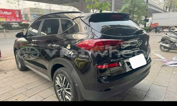 Buy Used Hyundai Tucson Car Buy Used Hyundai Tucson Car