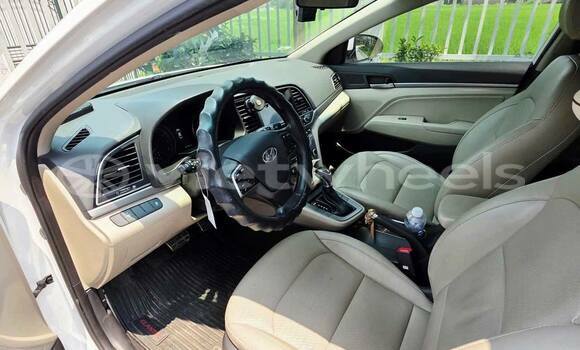 Buy Used Hyundai ELANTRA Car Buy Used Hyundai ELANTRA Car