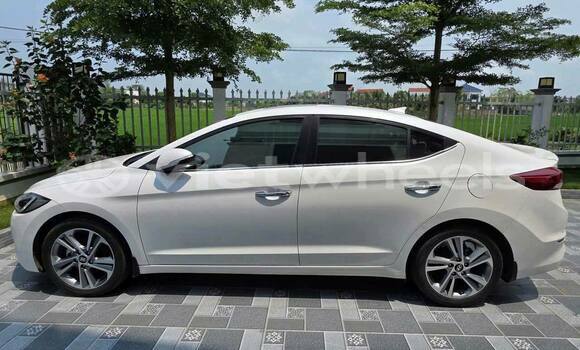 Buy Used Hyundai ELANTRA Car Buy Used Hyundai ELANTRA Car