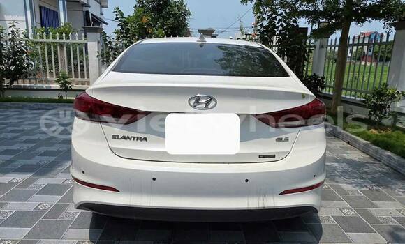 Buy Used Hyundai ELANTRA Car Buy Used Hyundai ELANTRA Car