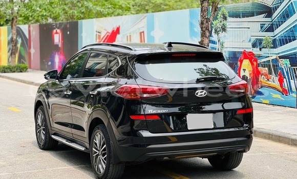 Buy Used Hyundai Tucson Car Buy Used Hyundai Tucson Car