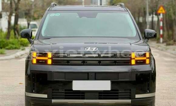 Buy Used Hyundai Santa fe Car