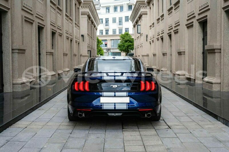 Big with watermark ford ford mustang tinh lam gjong gjam rong 37575