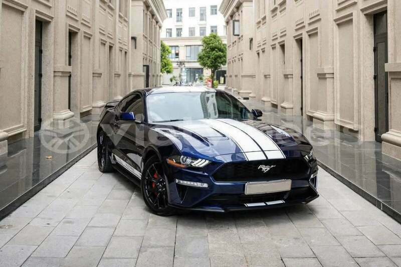 Big with watermark ford ford mustang tinh lam gjong gjam rong 37598