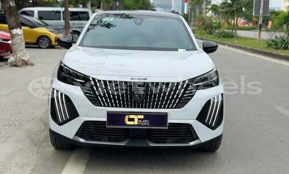 Mua Đã sử dụng Peugeot 2008 Xe ô tô