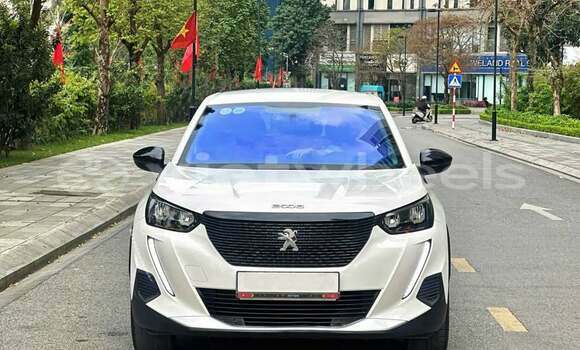 Mua Đã sử dụng Peugeot 2008 Xe ô tô