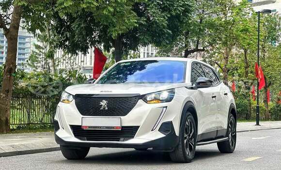 Mua Đã sử dụng Peugeot 2008 Xe ô tô Mua Đã sử dụng Peugeot 2008 Xe ô tô