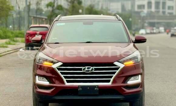 Buy Used Hyundai Tucson Car