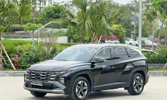 Buy Used Hyundai Tucson Car Buy Used Hyundai Tucson Car