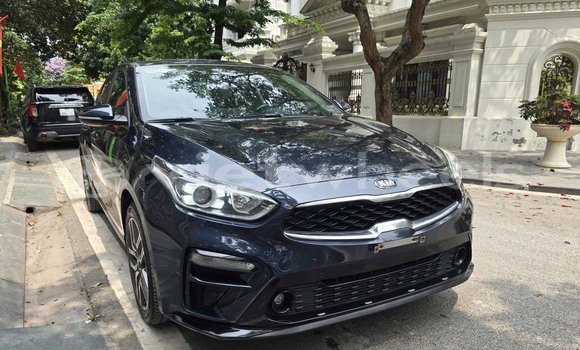 Buy Used KIA CERATO Car