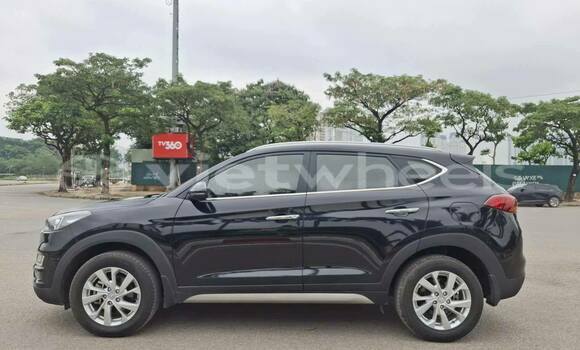 Buy Used Hyundai Tucson Car Buy Used Hyundai Tucson Car
