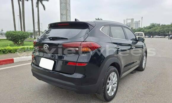 Buy Used Hyundai Tucson Car Buy Used Hyundai Tucson Car