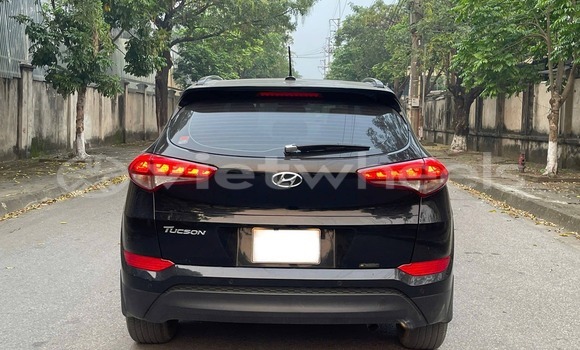 Buy Used Hyundai Tucson Car Buy Used Hyundai Tucson Car