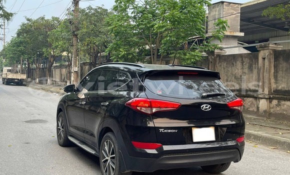 Buy Used Hyundai Tucson Car Buy Used Hyundai Tucson Car