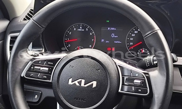 Buy Used Kia Seltos Car Buy Used Kia Seltos Car