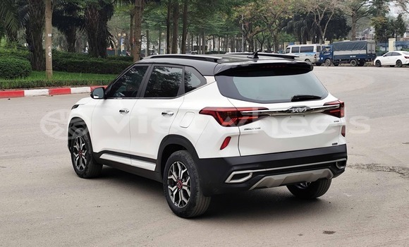 Buy Used Kia Seltos Car Buy Used Kia Seltos Car