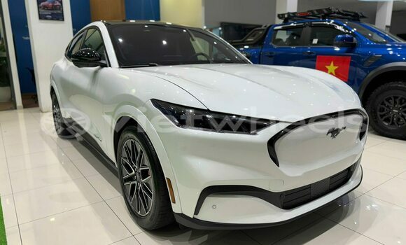 Mua Đã sử dụng Ford Ford MUSTANG Xe ô tô