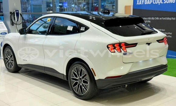 Buy Used Ford Ford MUSTANG Car Buy Used Ford Ford MUSTANG Car