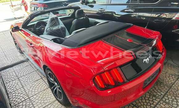 Mua Đã sử dụng Ford Ford MUSTANG Xe ô tô
