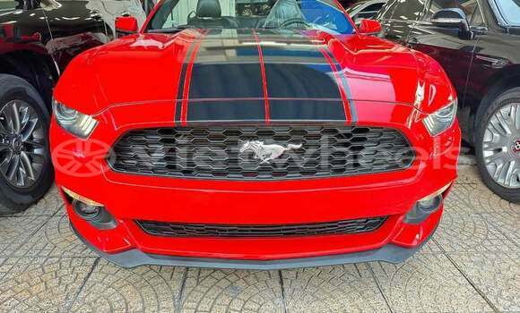 Mua Đã sử dụng Ford Ford MUSTANG Xe ô tô Mua Đã sử dụng Ford Ford MUSTANG Xe ô tô
