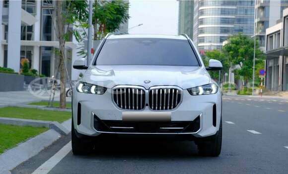 Buy Used BMW X5 Car