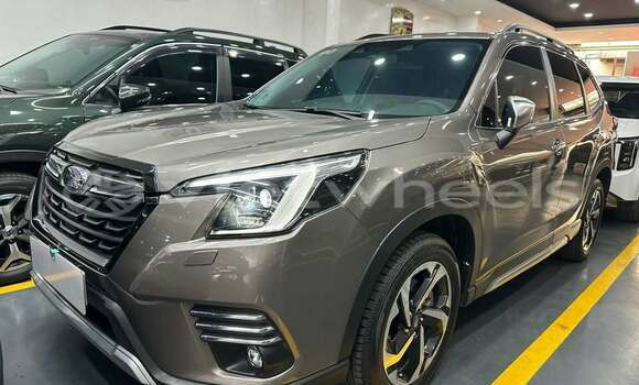 Mua Đã sử dụng Subaru Subaru Forester Xe ô tô