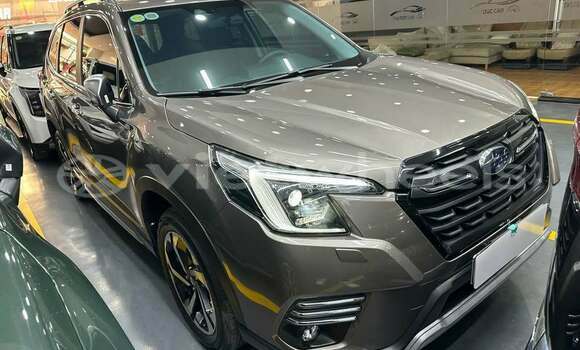Mua Đã sử dụng Subaru Subaru Forester Xe ô tô Mua Đã sử dụng Subaru Subaru Forester Xe ô tô