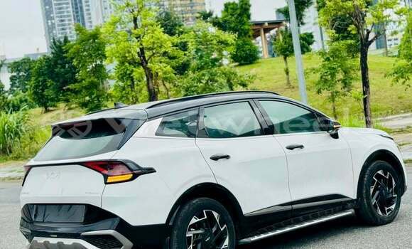 Mua Đã sử dụng Kia Sportage Xe ô tô Mua Đã sử dụng Kia Sportage Xe ô tô