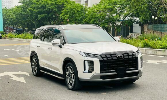 Mua Đã sử dụng Hyundai Palisade Xe ô tô Mua Đã sử dụng Hyundai Palisade Xe ô tô