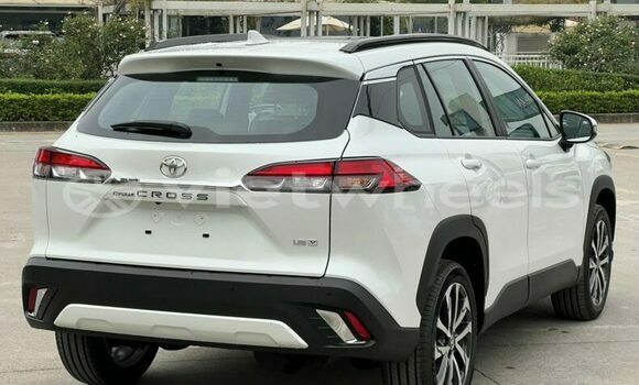 Mua Nhập khẩu Toyota Corolla Cross Xe ô tô Mua Nhập khẩu Toyota Corolla Cross Xe ô tô