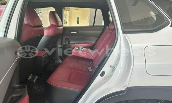 Mua Nhập khẩu Toyota Corolla Cross Xe ô tô Mua Nhập khẩu Toyota Corolla Cross Xe ô tô