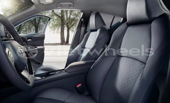 Mua Nhập khẩu Toyota CH-R Xe ô tô Mua Nhập khẩu Toyota CH-R Xe ô tô