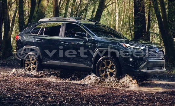 Mua Nhập khẩu Toyota Rav 4 Xe ô tô Mua Nhập khẩu Toyota Rav 4 Xe ô tô