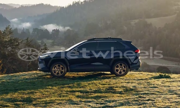 Mua Nhập khẩu Toyota Rav 4 Xe ô tô Mua Nhập khẩu Toyota Rav 4 Xe ô tô