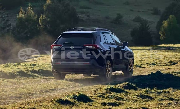 Mua Nhập khẩu Toyota Rav 4 Xe ô tô Mua Nhập khẩu Toyota Rav 4 Xe ô tô