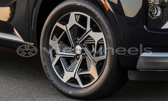 Mua Nhập khẩu Hyundai Palisade Xe ô tô Mua Nhập khẩu Hyundai Palisade Xe ô tô