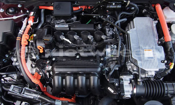 Mua Nhập khẩu Honda Insight Xe ô tô Mua Nhập khẩu Honda Insight Xe ô tô