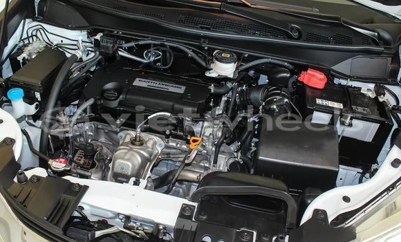 Mua Nhập khẩu Honda Odyssey Xe ô tô Mua Nhập khẩu Honda Odyssey Xe ô tô