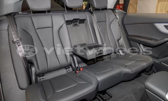 Buy Import Audi Other Audis Car Buy Import Audi Other Audis Car