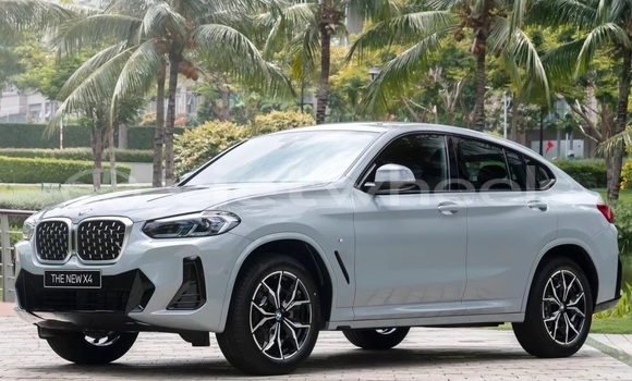 Buy Import BMW BMW X4 Car Buy Import BMW BMW X4 Car