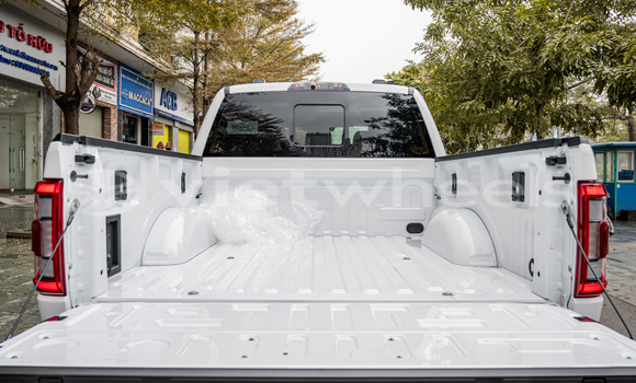 Mua Nhập khẩu Ford F150 Xe ô tô Mua Nhập khẩu Ford F150 Xe ô tô