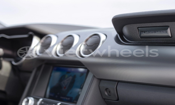 Mua Nhập khẩu Ford Ford MUSTANG Xe ô tô Mua Nhập khẩu Ford Ford MUSTANG Xe ô tô