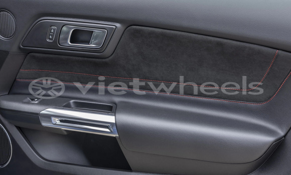Mua Nhập khẩu Ford Ford MUSTANG Xe ô tô Mua Nhập khẩu Ford Ford MUSTANG Xe ô tô