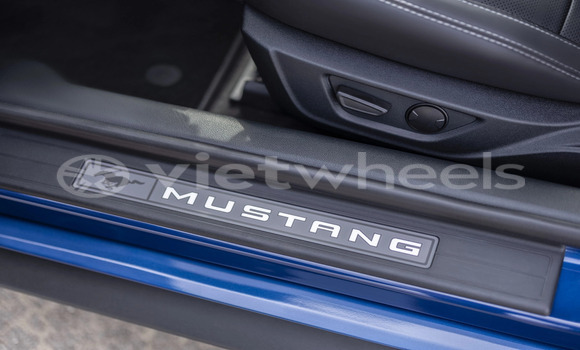 Mua Nhập khẩu Ford Ford MUSTANG Xe ô tô Mua Nhập khẩu Ford Ford MUSTANG Xe ô tô