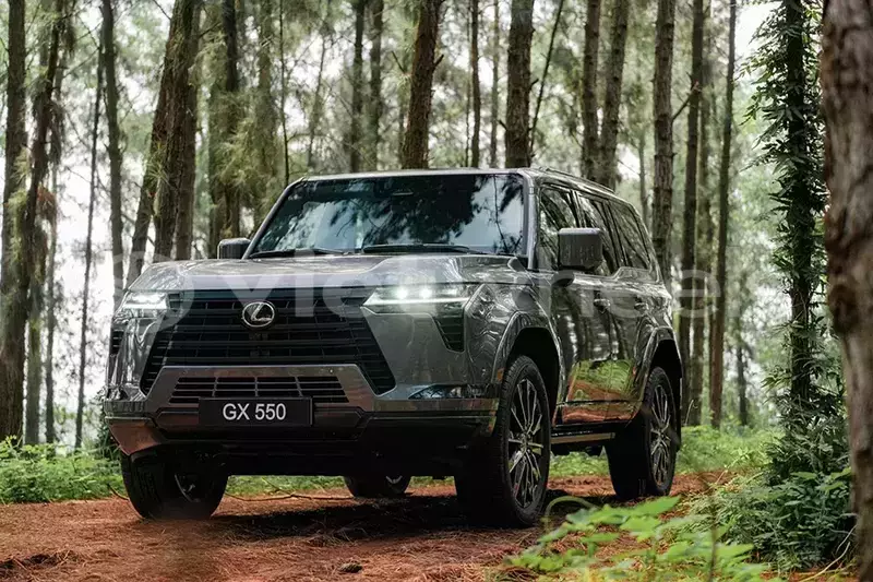 Big with watermark lexus gx ha noi ha noi 46250