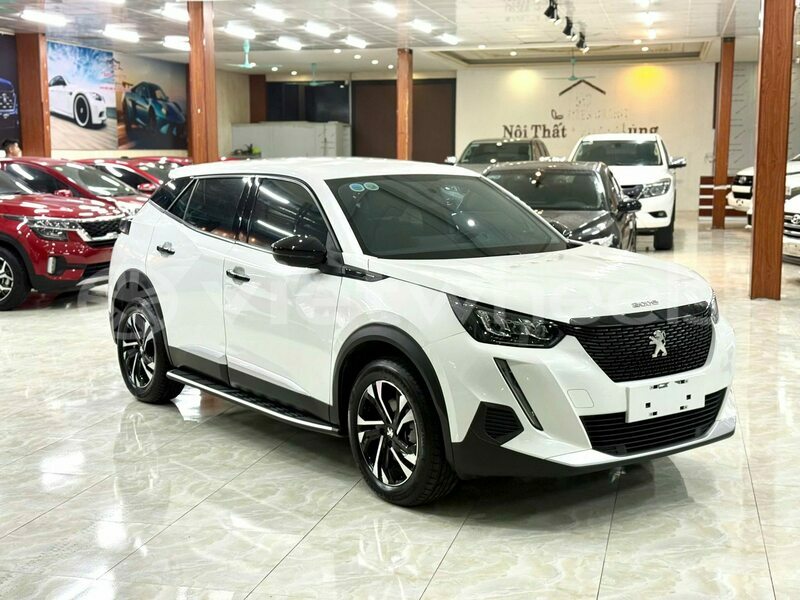 Big with watermark peugeot 2008 ho chi minh 8 46273